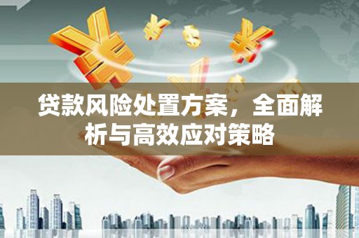 原州贷款风险处置方案，全面解析与高效应对策略