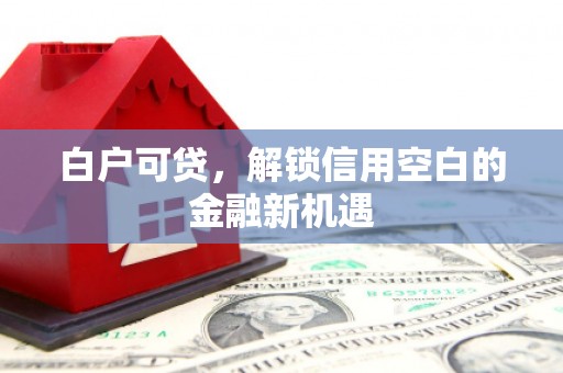 原州白户可贷，解锁信用空白的金融新机遇