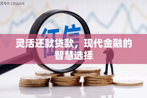 原州灵活还款贷款，现代金融的智慧选择