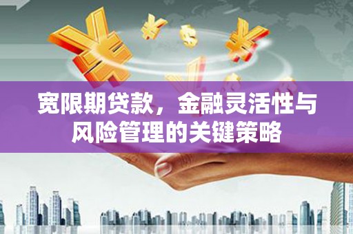 原州宽限期贷款，金融灵活性与风险管理的关键策略