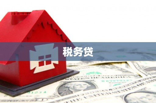 原州税务贷