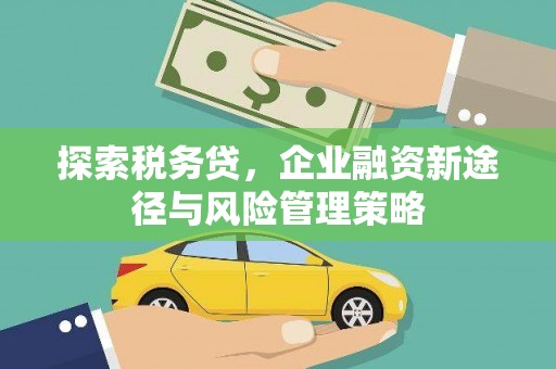 原州探索税务贷，企业融资新途径与风险管理策略