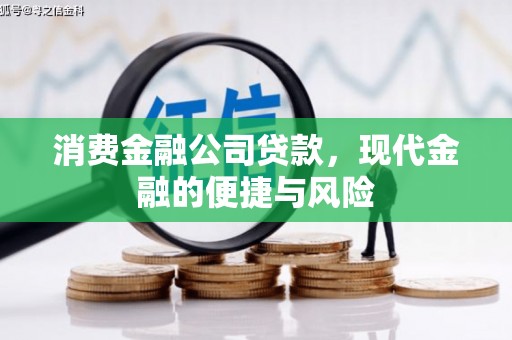 原州消费金融公司贷款，现代金融的便捷与风险