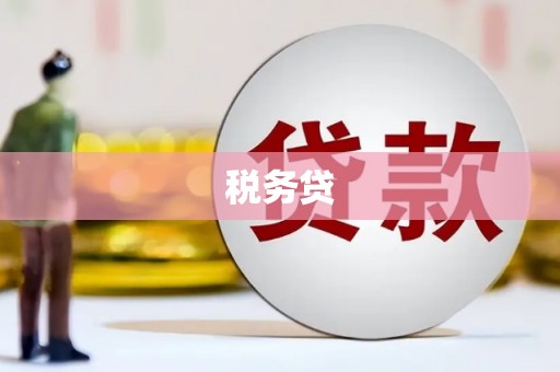 原州税务贷