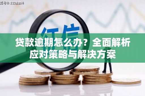 原州贷款逾期怎么办？全面解析应对策略与解决方案