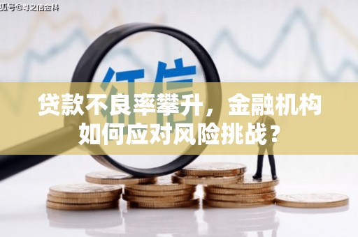 原州贷款不良率攀升，金融机构如何应对风险挑战？