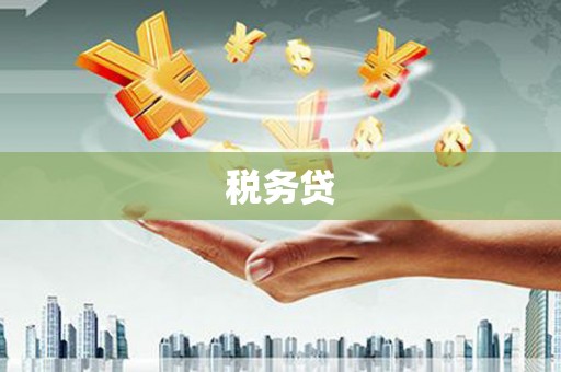 原州税务贷