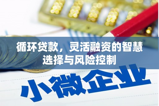 原州循环贷款，灵活融资的智慧选择与风险控制