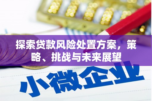 原州探索贷款风险处置方案，策略、挑战与未来展望