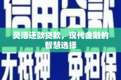 原州灵活还款贷款，现代金融的智慧选择