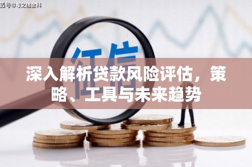 原州深入解析贷款风险评估，策略、工具与未来趋势