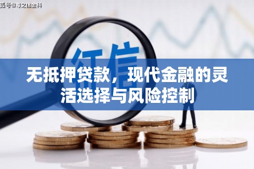 原州无抵押贷款，现代金融的灵活选择与风险控制