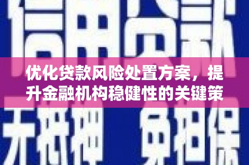 原州优化贷款风险处置方案，提升金融机构稳健性的关键策略