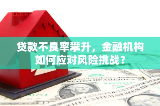 原州贷款不良率攀升，金融机构如何应对风险挑战？