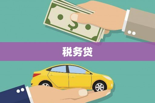 原州税务贷
