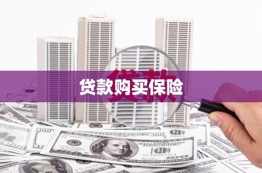 原州贷款购买保险