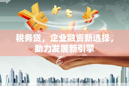 原州税务贷，企业融资新选择，助力发展新引擎