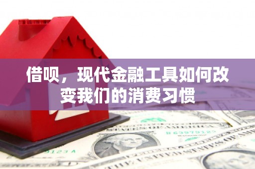 原州借呗，现代金融工具如何改变我们的消费习惯
