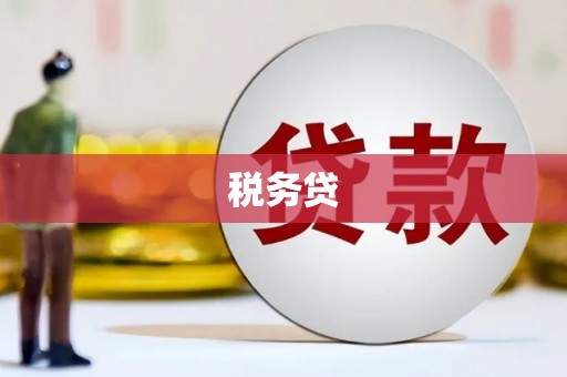 原州税务贷