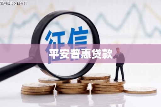 原州平安普惠贷款