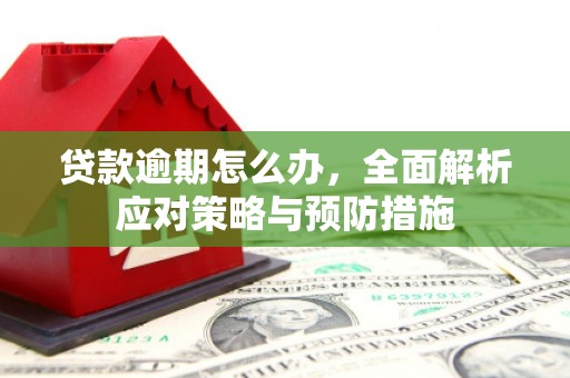 原州贷款逾期怎么办，全面解析应对策略与预防措施