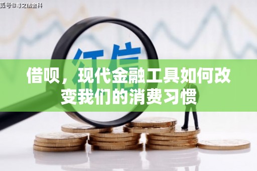 原州借呗，现代金融工具如何改变我们的消费习惯