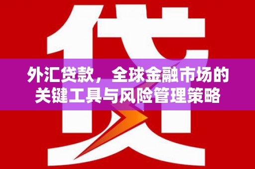 原州外汇贷款，全球金融市场的关键工具与风险管理策略