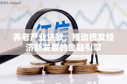 原州养老产业贷款，推动银发经济新发展的金融引擎