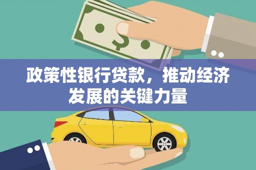 原州政策性银行贷款，推动经济发展的关键力量