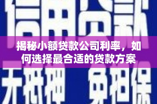 原州揭秘小额贷款公司利率，如何选择最合适的贷款方案
