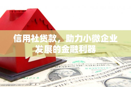 原州信用社贷款，助力小微企业发展的金融利器
