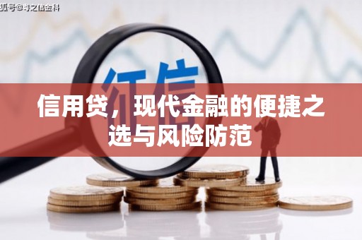 原州信用贷，现代金融的便捷之选与风险防范