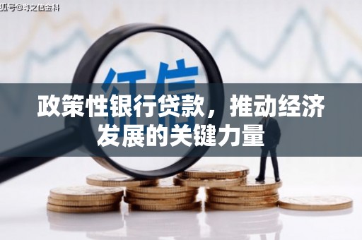 原州政策性银行贷款，推动经济发展的关键力量