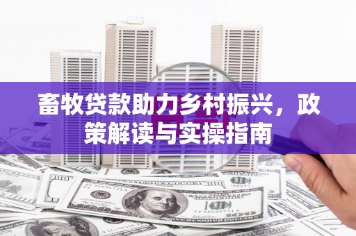 原州畜牧贷款助力乡村振兴，政策解读与实操指南