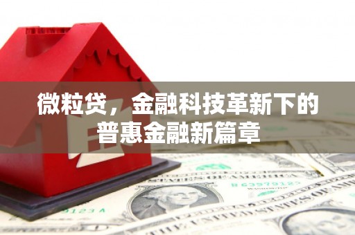 原州微粒贷，金融科技革新下的普惠金融新篇章