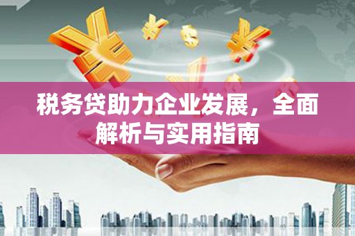 原州税务贷助力企业发展，全面解析与实用指南