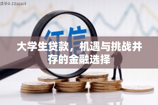 原州大学生贷款，机遇与挑战并存的金融选择