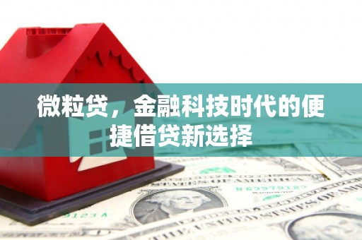 原州微粒贷，金融科技时代的便捷借贷新选择