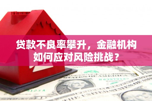 原州贷款不良率攀升，金融机构如何应对风险挑战？