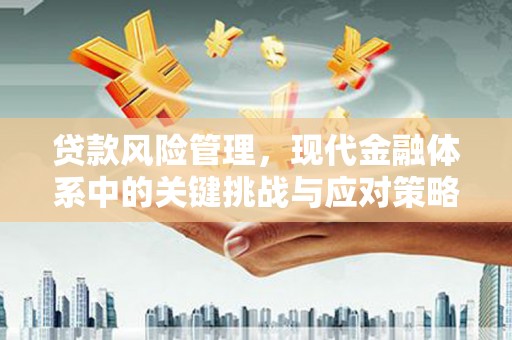 原州贷款风险管理，现代金融体系中的关键挑战与应对策略