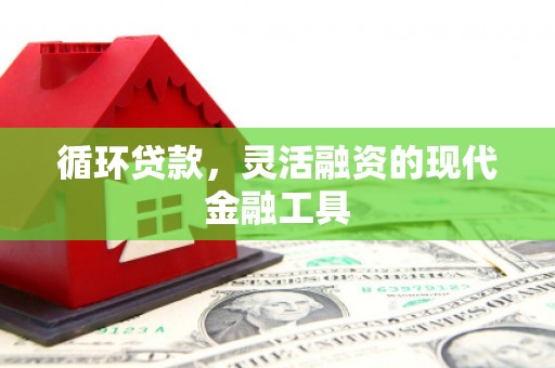原州循环贷款，灵活融资的现代金融工具
