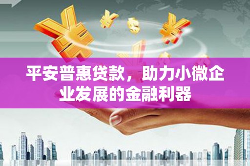 原州平安普惠贷款，助力小微企业发展的金融利器