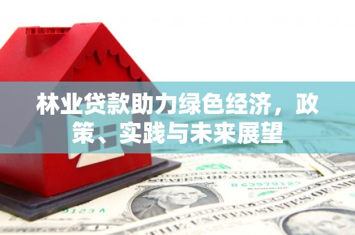 原州林业贷款助力绿色经济，政策、实践与未来展望