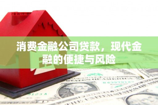 原州消费金融公司贷款，现代金融的便捷与风险