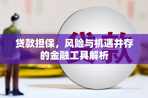 原州贷款担保，风险与机遇并存的金融工具解析