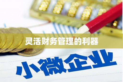 原州灵活财务管理的利器