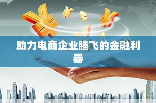 原州助力电商企业腾飞的金融利器
