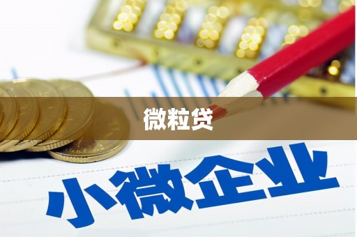 原州微粒贷