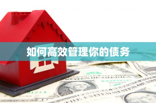 原州如何高效管理你的债务
