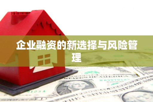 原州企业融资的新选择与风险管理